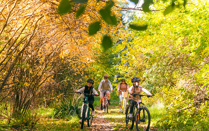 Wairau - Marlborough District Council